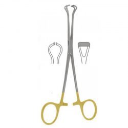 TC BABCOCK FORCEPS